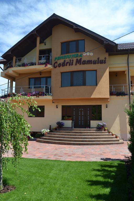 Pensiunea Codrii Mamului Lungesti (Valcea) Exterior photo